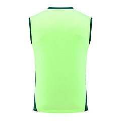 2024-25 Mexico training vest