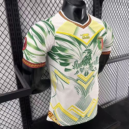 2025-26 Mali Home and Away Jerseys - Player Version