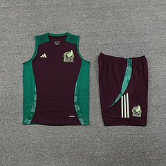 2024-25 Mexico training vest jersey