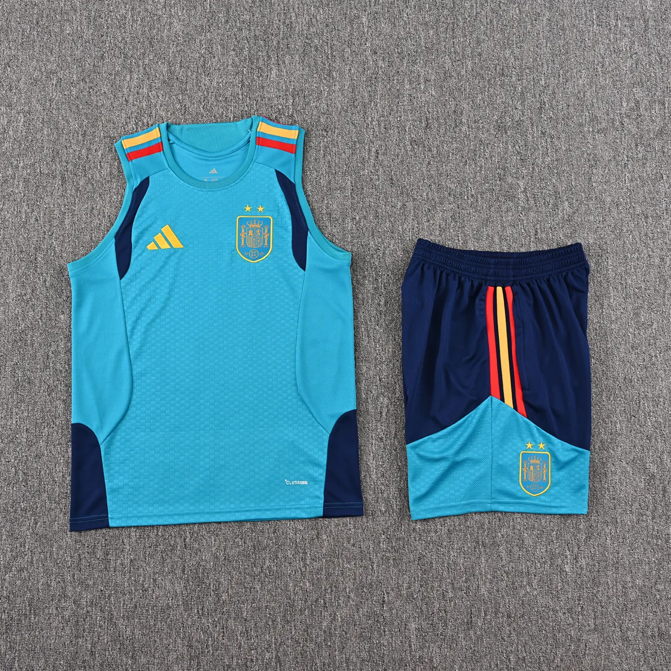 2026-27 Spain training vest jersey