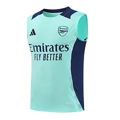 2024-25 Arsenal training vest jersey