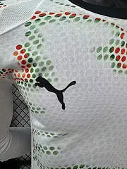 2025-26 Portugal Away Long Sleeve Shirt - Players