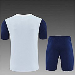 2025-26 Tottenham Hotspur grey short-sleeved training jersey