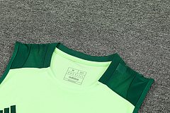 2024-25 Mexico training vest