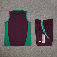 2024-25 Mexico training vest jersey