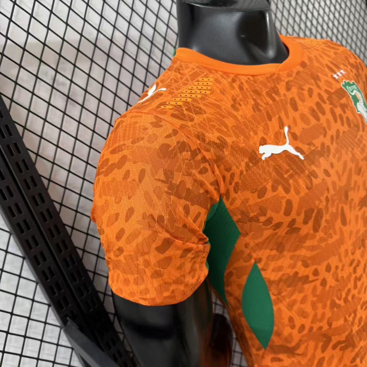 2026-27 Ivory Coast Home Jersey – Player Version