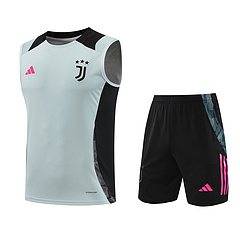 2024-25 Juventus training vest jersey