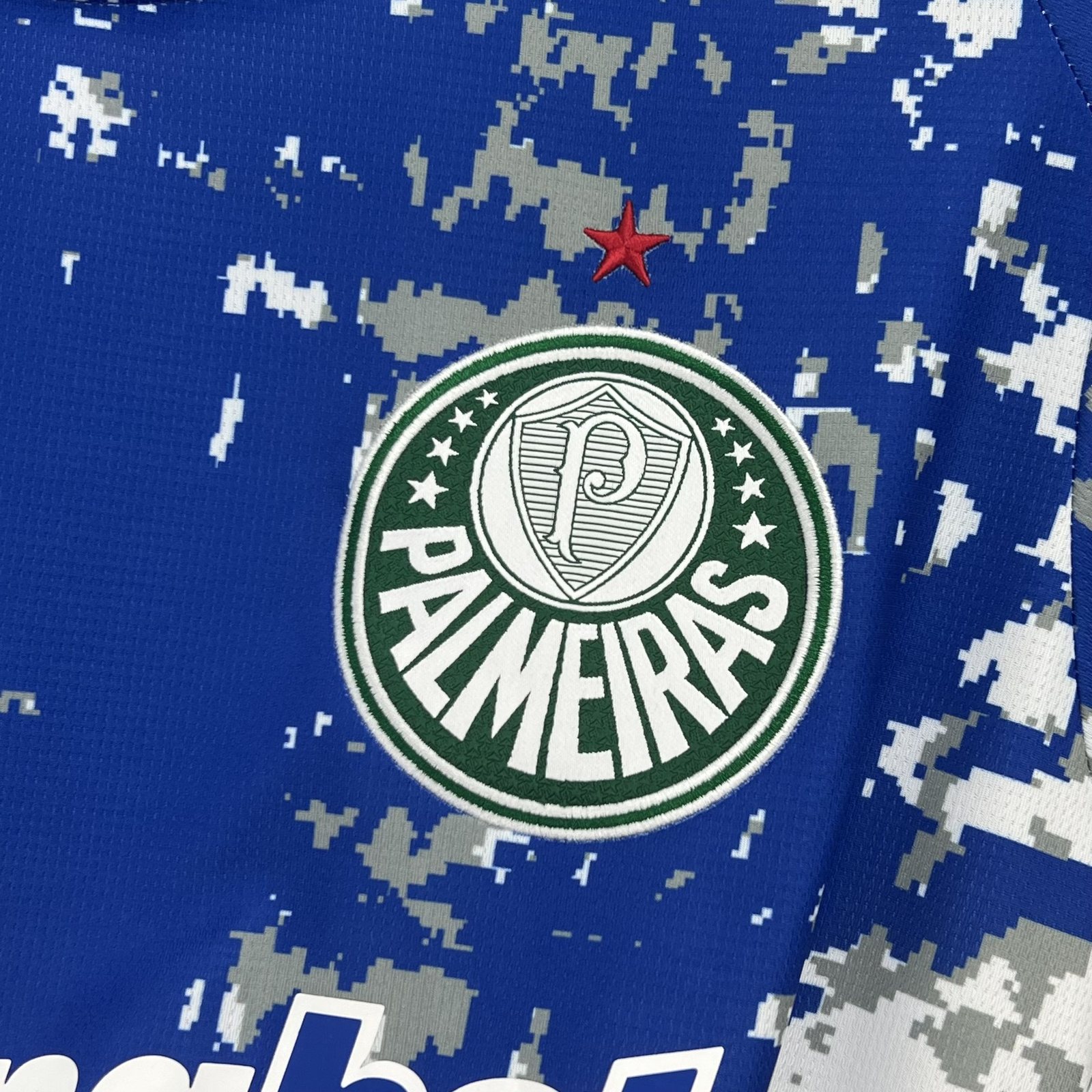 2026-27 Palmeiras Goalkeeper Jersey – Fan Edition