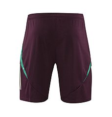 2024-25 Mexico training vest