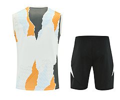 2025-26 Real Madrid Training Vest Jersey