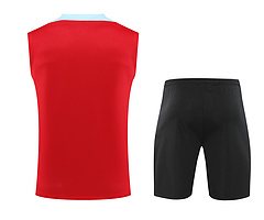 2024-25 Barcelona vest training jersey