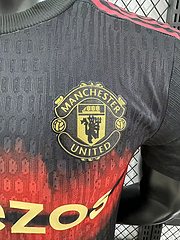 2025-26 Manchester United Training Shirt - Players