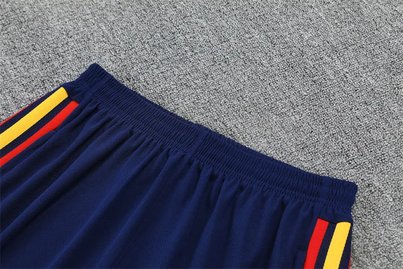 2026-27 Spain Team Lake Blue Short-Sleeve Training Jersey (Two Stars)
