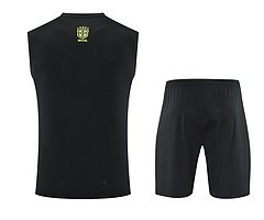 2025-26 Brazil vest training jersey