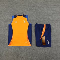 2024-25 Juventus training vest jersey
