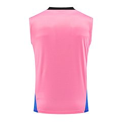 2024-25 Arsenal training vest jersey