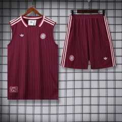 2025-26 Bayern Munich training vest jersey