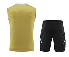 2024-25 Argentina training vest