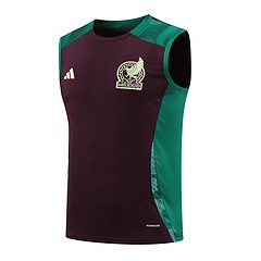 2024-25 Mexico training vest jersey