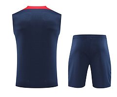 2024-25 Paris Saint-Germain training shirt