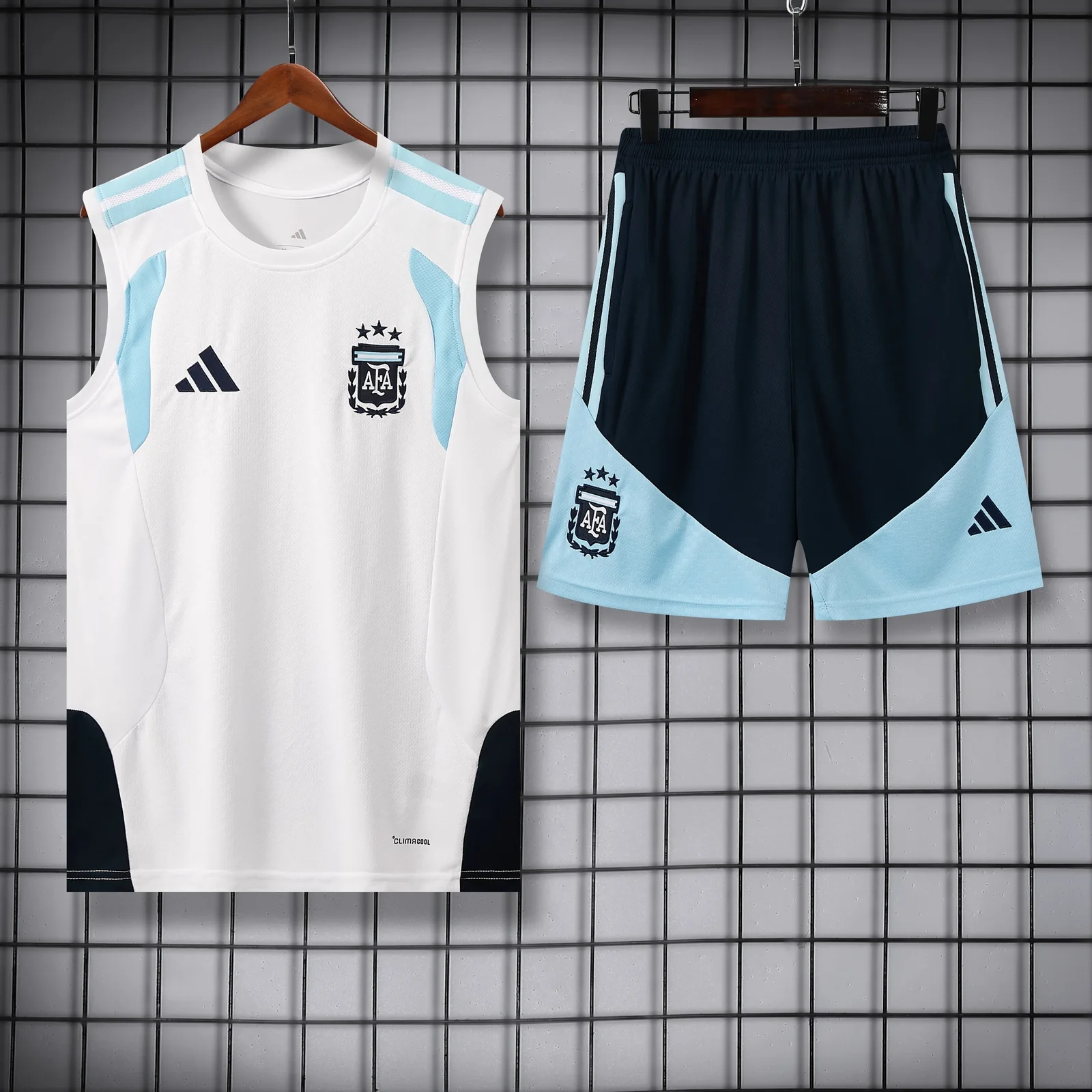 2026-27 Argentina training vest