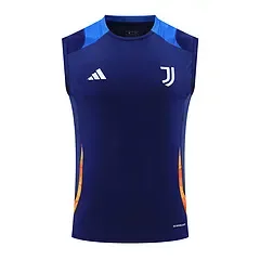 2024-25 Juventus training vest jersey