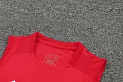 2024-25 Manchester United training vest jersey
