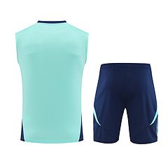 2024-25 Arsenal training vest jersey