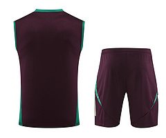 2024-25 Mexico training vest jersey