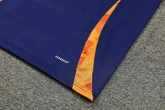 2024-25 Juventus training vest jersey