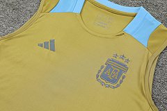 2024-25 Argentina training vest
