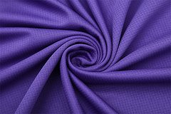2025-26 Atletico Madrid Purple Short Sleeve Training Jersey