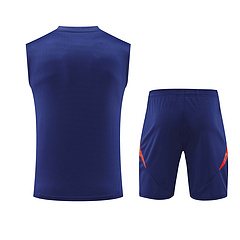 2024-25 Spain training vest jersey