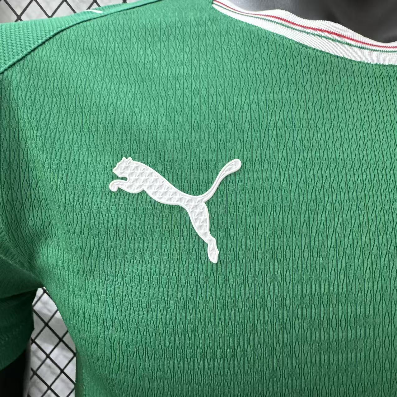 2026-27 Palmeiras Home Jersey – Player Version