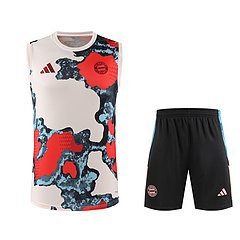 2025-26 Bayern Munich training vest jersey