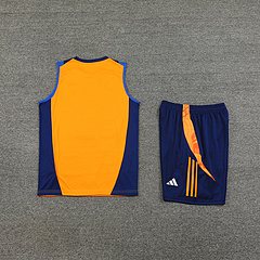 2024-25 Juventus training vest jersey