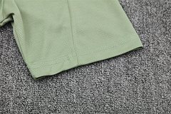 2025-26 Chelsea Light Green Short Sleeve Training Shirt
