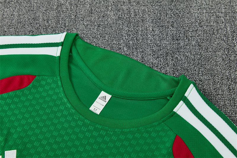 2026-27 Algeria Green Short-Sleeve Training Jersey