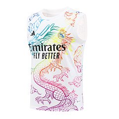 2024-25 Real Madrid Training Vest Jersey