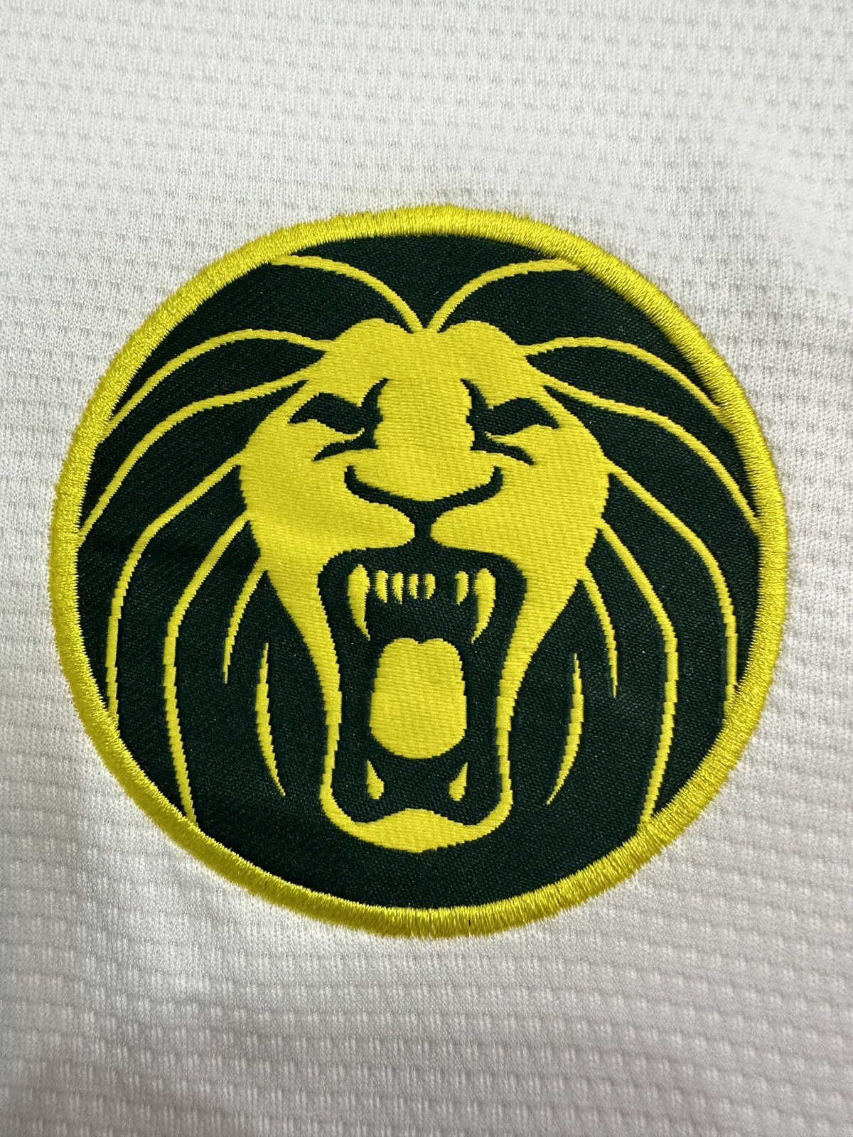 2025-26 Cameroon Second Away Jersey