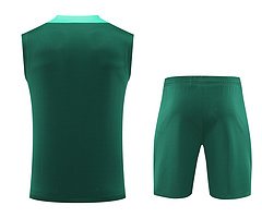 2024-25 Portugal training vest