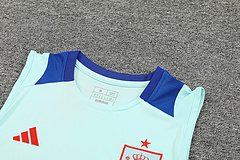 2024-25 Spain training vest jersey