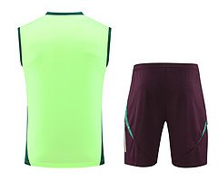 2024-25 Mexico training vest