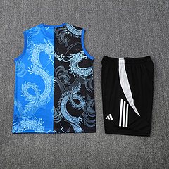 2025-26 Real Madrid Training Vest Jersey