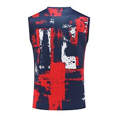 2024-25 Paris Saint-Germain training shirt
