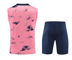 2024-25 Paris Saint-Germain training shirt