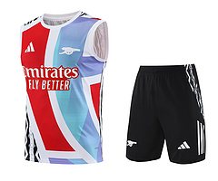 2025-26 Arsenal training vest jersey