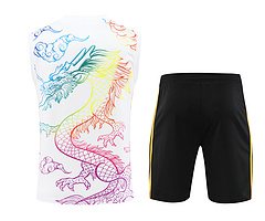 2024-25 Real Madrid Training Vest Jersey