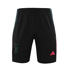 2024-25 Juventus training vest jersey
