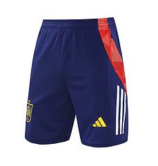 2024-25 Spain training vest jersey